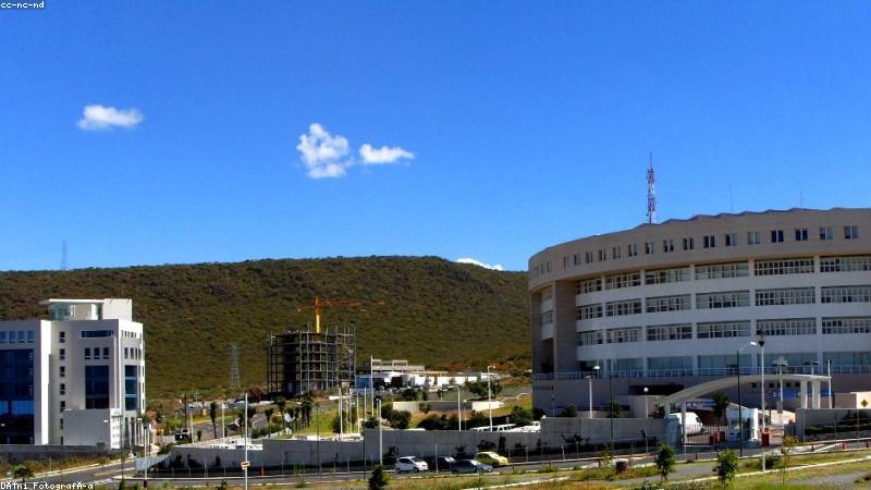 糖心官网首页视觉主图，呈现甜系内容的品牌氛围